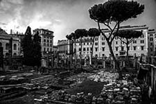 DSC_2104-850-naples